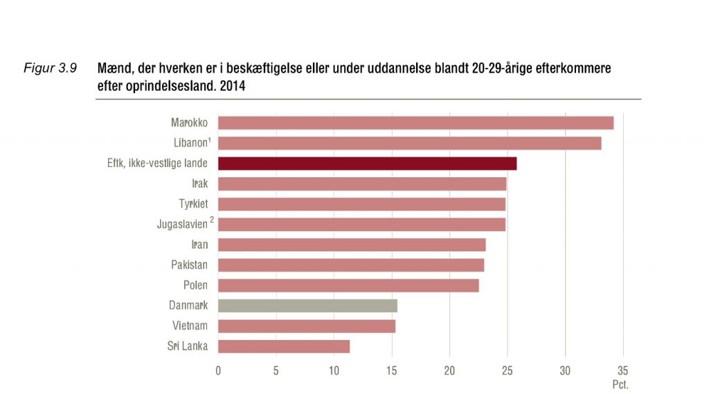 Mannlige etterkommere i aldersgruppen 20-29 år som hverken er i beskjeftigelse eller under utdannelse. Kilde: Danmarks statistik.