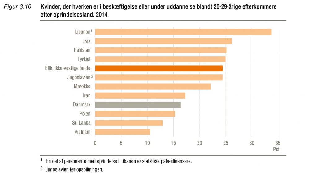 Kvinnelige etterkommere i aldersgruppen 20-29 år som hverken er i beskjeftigelse eller under utdannelse. Kilde: Danmarks statistik.