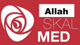 Ap driver valgkamp i moské