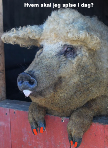 Griser er homoer og spiser sine egne barn