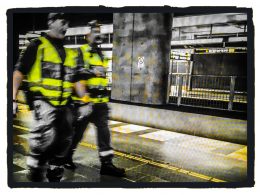 Et skyggesamfunn vokser frem