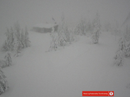 Halalutsagn i den norske fjellheimen til besvær