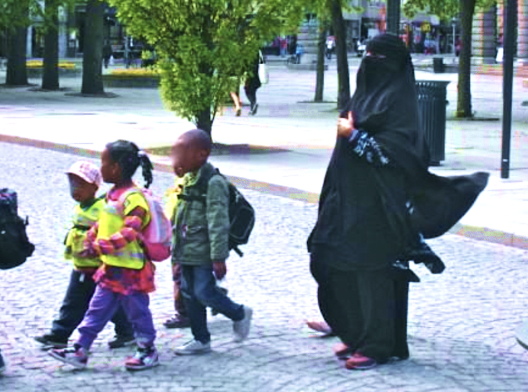 Venstre-politiker innrømmer: Innvandringspolitikken har grunnleggende feilet