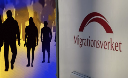 Migrationsverket beskrives som en havarert etat