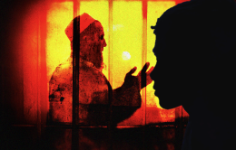 Danmark klarer det Norge ikke klarer