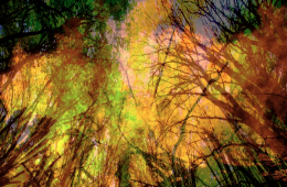 Et land i flammer – og et regime uten røtter