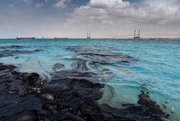 Når havet forgiftes av mullaene, blir aktivistene plutselig stille