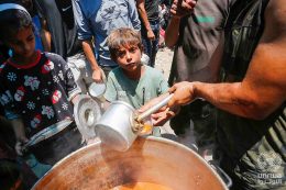 – Genmodifiserte mus og rotter angriper barn og diabetikere i Gaza