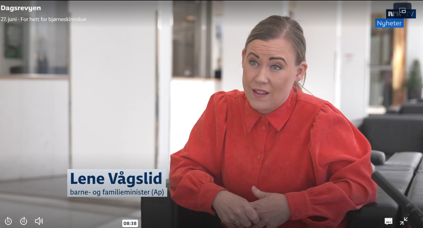 Gjemmer seg bak speiderbevegelsen