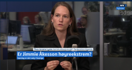 Blindsonen til venstre er mer talende enn kritikken av SD